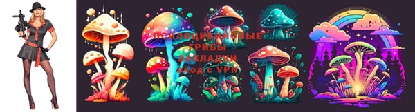 метадон Аркадак