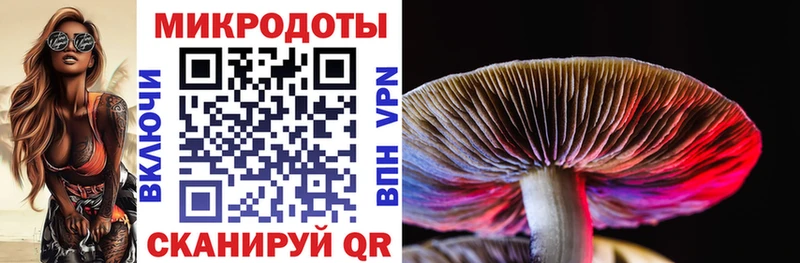 где купить   Хадыженск  ссылка на мегу ССЫЛКА  Галлюциногенные грибы Psilocybine cubensis 